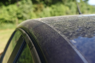 Neutralizing the Yellow Haze: Advanced Pollen Decontamination